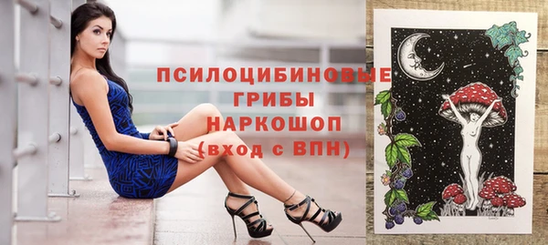 прущий лед Арсеньев