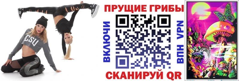 Галлюциногенные грибы прущие грибы  Пересвет 